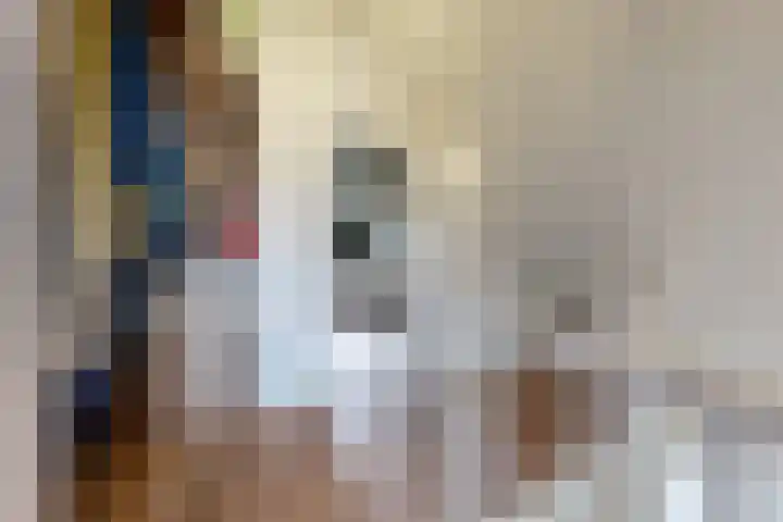 Kleine Ton 10 Fijnaart thumbnail 49