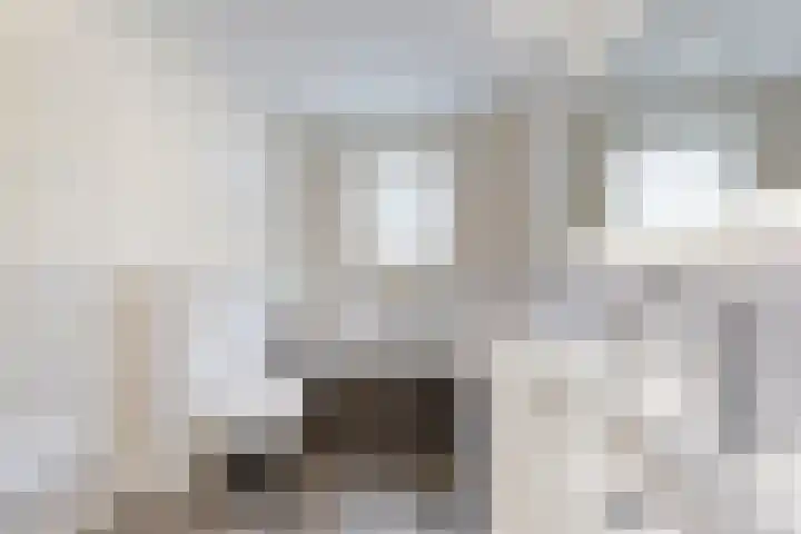 Kleine Ton 10 Fijnaart thumbnail 5