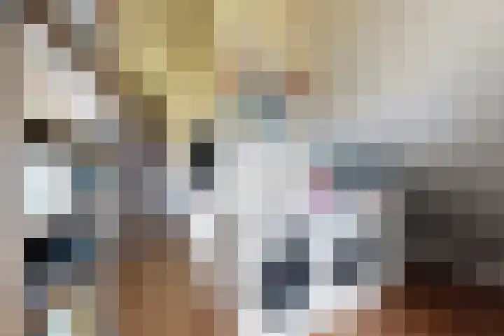 Kleine Ton 10 Fijnaart thumbnail 50