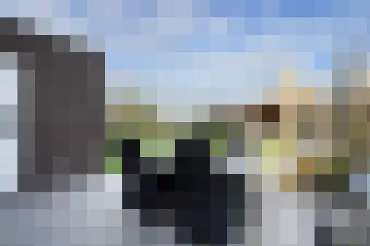 Kleine Ton 10 Fijnaart thumbnail 55