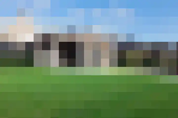 Kleine Ton 10 Fijnaart thumbnail 56