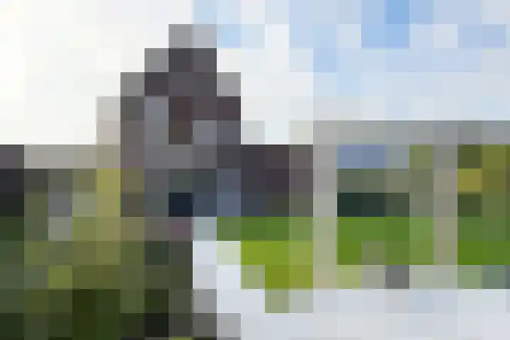 Kleine Ton 10 Fijnaart thumbnail 59