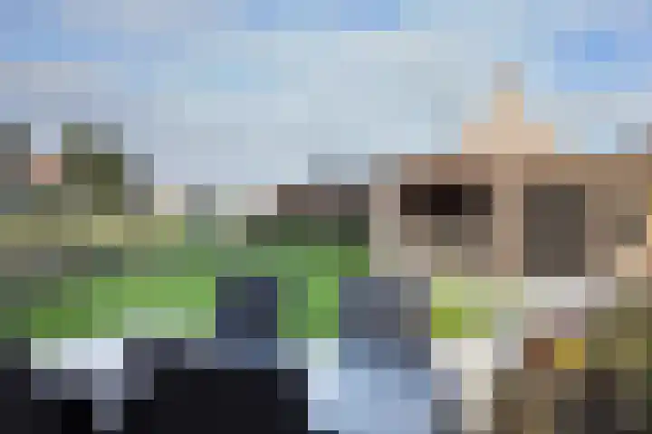 Kleine Ton 10 Fijnaart thumbnail 6