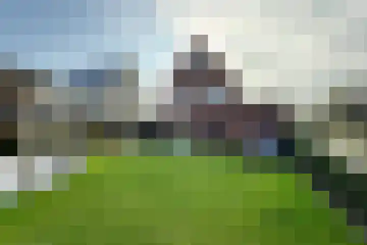 Kleine Ton 10 Fijnaart thumbnail 60