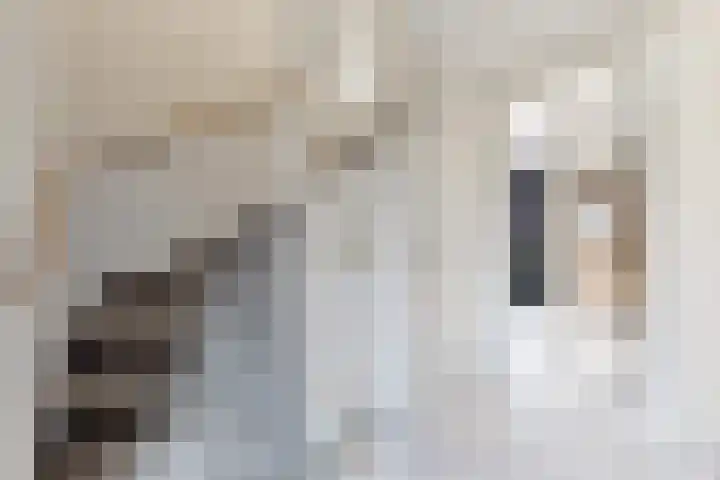 Kleine Ton 10 Fijnaart thumbnail 8