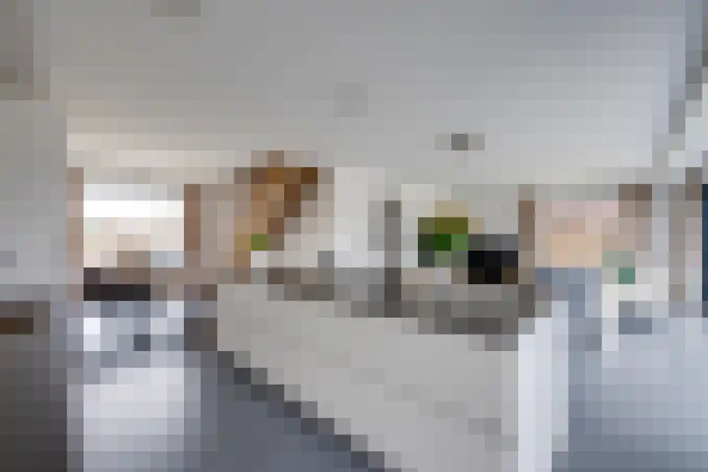 Kleine Ton 8 Fijnaart thumbnail 16