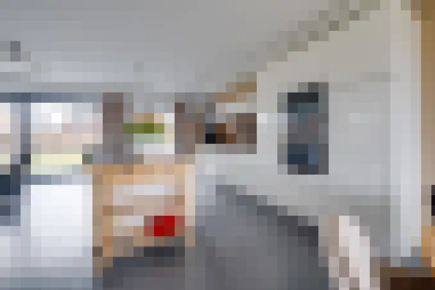 Kleine Ton 8 Fijnaart thumbnail 21