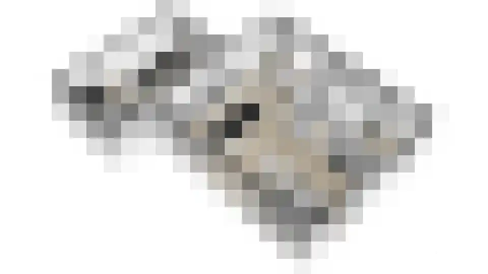 Kleine Ton 8 Fijnaart thumbnail 65