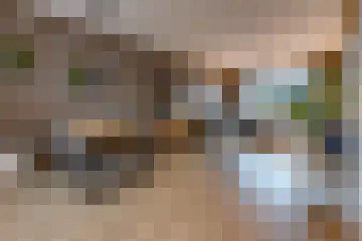 Kleine Turfstraat 26 Valthermond thumbnail 11