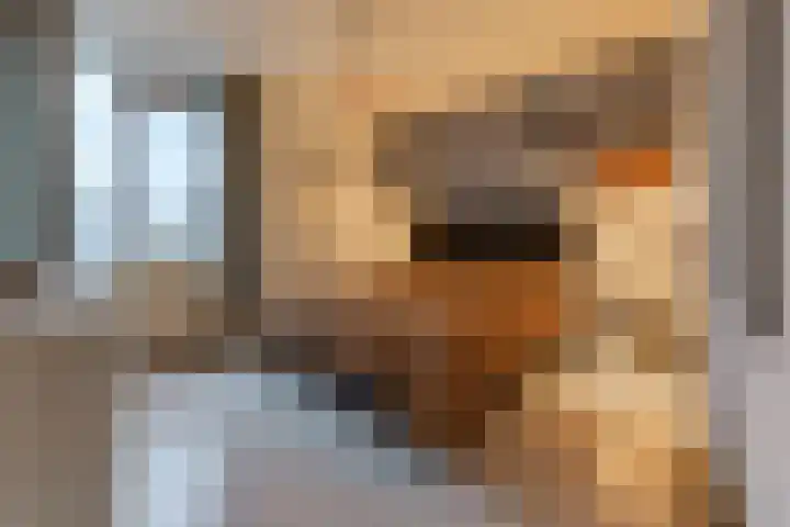 Kleine Turfstraat 26 Valthermond thumbnail 23