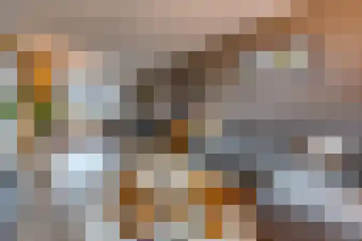 Kleine Turfstraat 26 Valthermond thumbnail 9