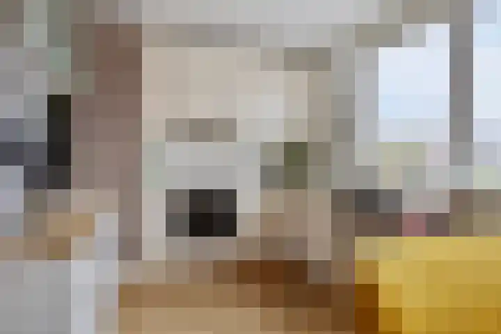 Kleine Vaartlaan 27 Veendam thumbnail 22