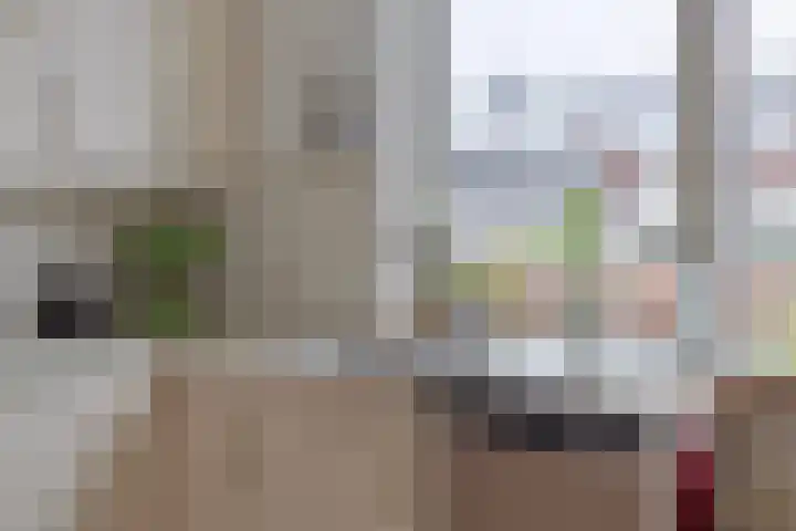 Kleine Vaartlaan 27 Veendam thumbnail 23