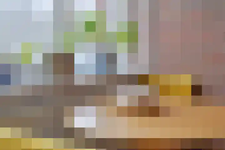 Kleine Vaartlaan 27 Veendam thumbnail 25