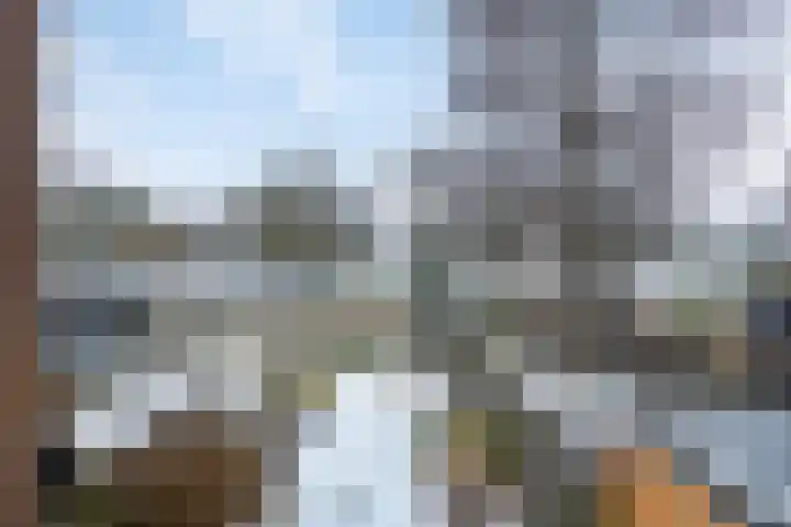 Kleine Vaartlaan 27 Veendam thumbnail 42