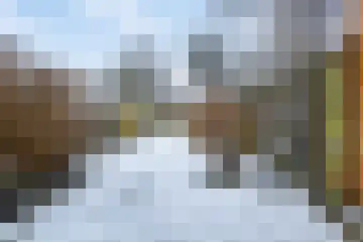 Kleine Vaartlaan 27 Veendam thumbnail 43