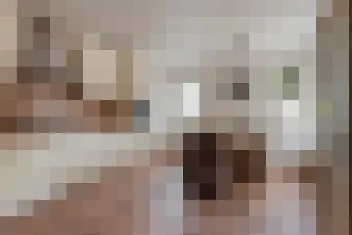 Kleine Vaartlaan 46 Veendam thumbnail 11