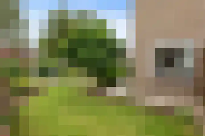 Kleine Vaartlaan 46 Veendam thumbnail 24