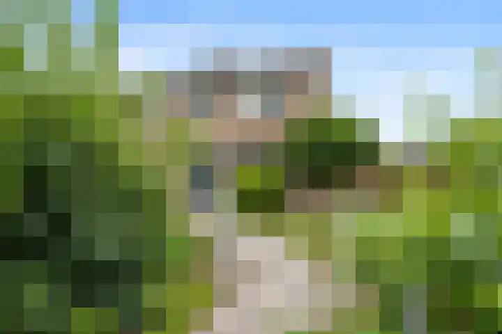 Kleine Vaartlaan 46 Veendam thumbnail 25