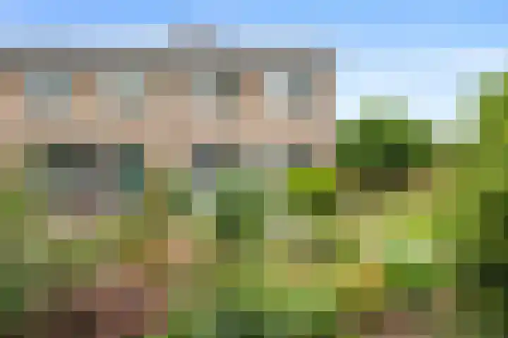 Kleine Vaartlaan 46 Veendam thumbnail 28