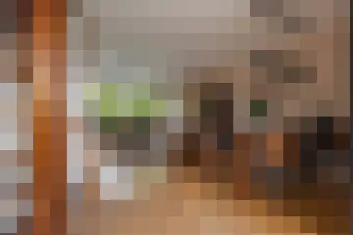 Kleine Vaartlaan 47 Veendam thumbnail 10