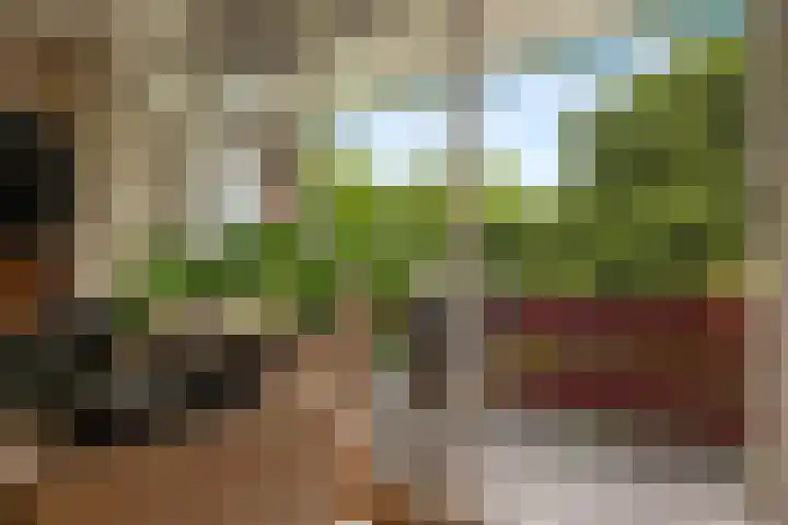Kleine Vaartlaan 47 Veendam thumbnail 12