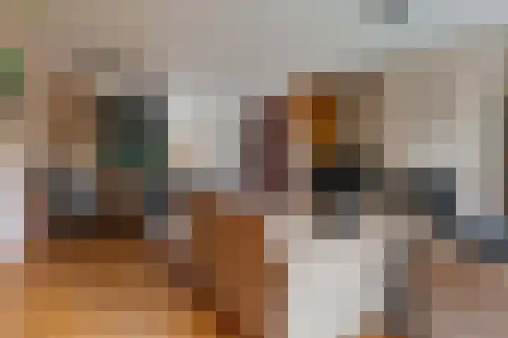 Kleine Vaartlaan 47 Veendam thumbnail 14