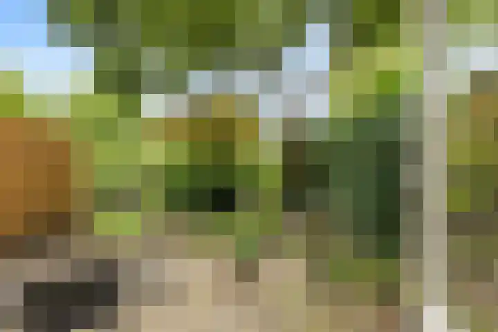 Kleine Vaartlaan 47 Veendam thumbnail 22