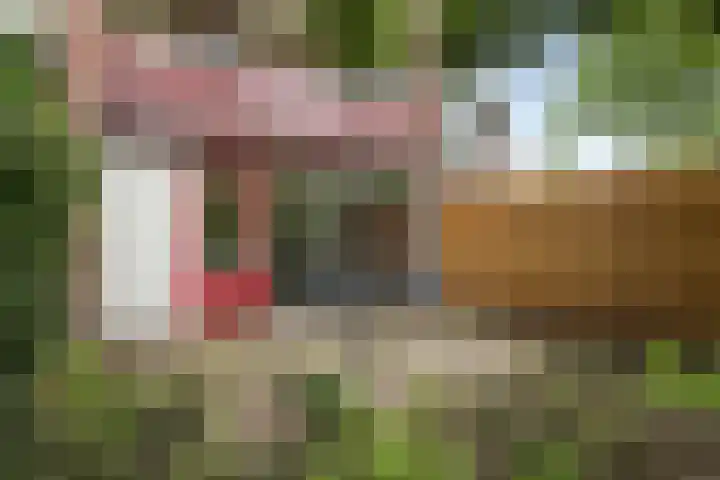 Kleine Vaartlaan 47 Veendam thumbnail 24