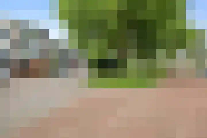 Kleine Vaartlaan 47 Veendam thumbnail 26