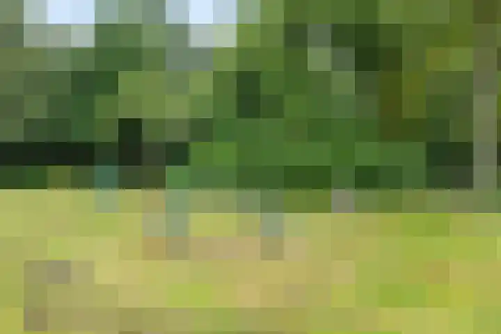 Kleine Vaartlaan 47 Veendam thumbnail 27
