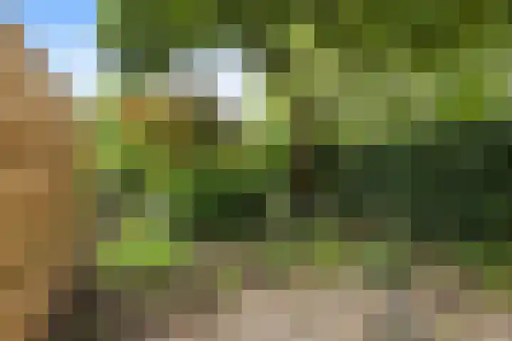 Kleine Vaartlaan 47 Veendam thumbnail 5