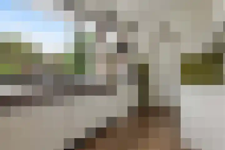 Kleine Vaartlaan 62 Veendam thumbnail 11