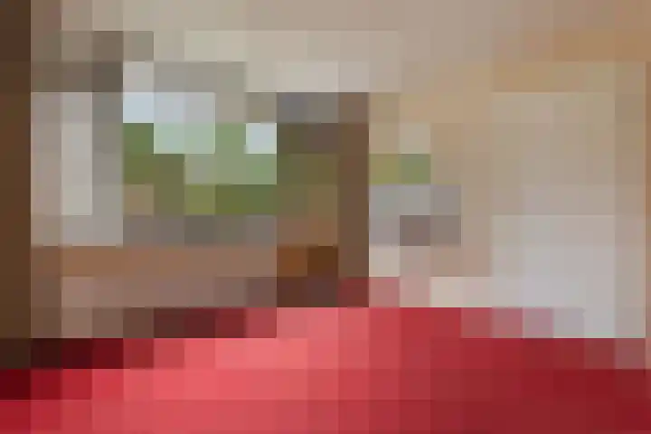 Kleine Vaartlaan 62 Veendam thumbnail 16