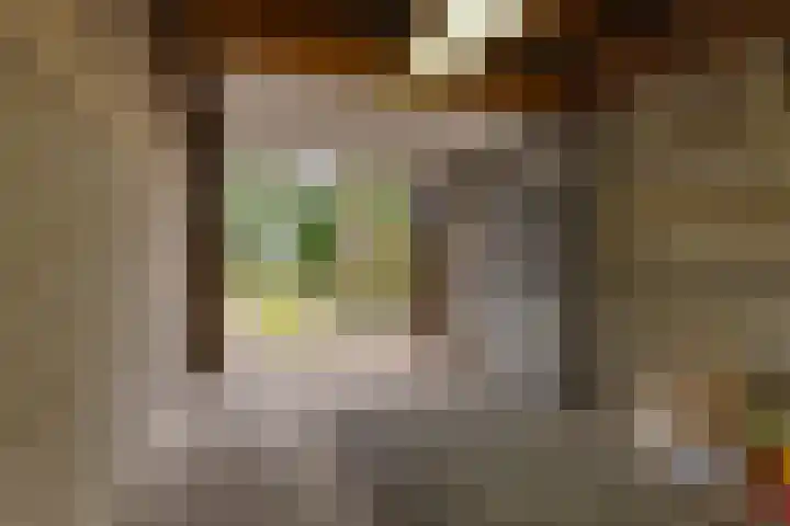 Kleine Vaartlaan 62 Veendam thumbnail 20