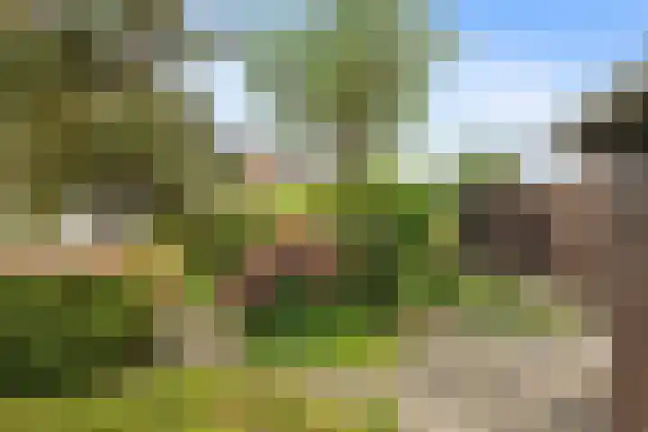 Kleine Vaartlaan 62 Veendam thumbnail 22