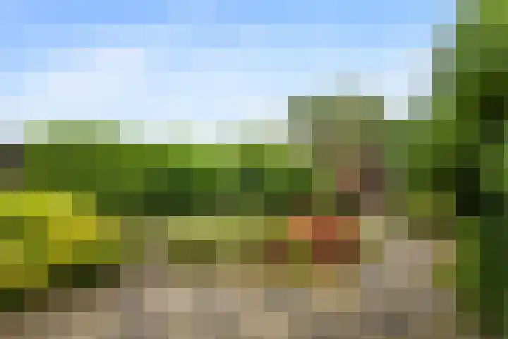 Kleine Vaartlaan 62 Veendam thumbnail 23