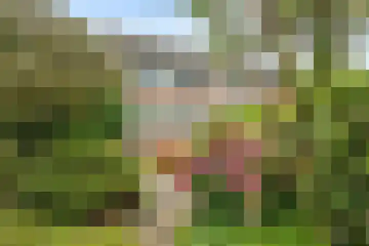 Kleine Vaartlaan 62 Veendam thumbnail 25