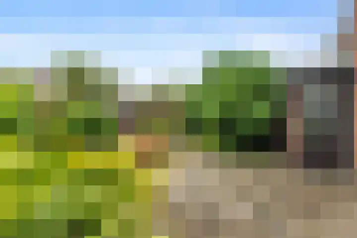 Kleine Vaartlaan 62 Veendam thumbnail 5