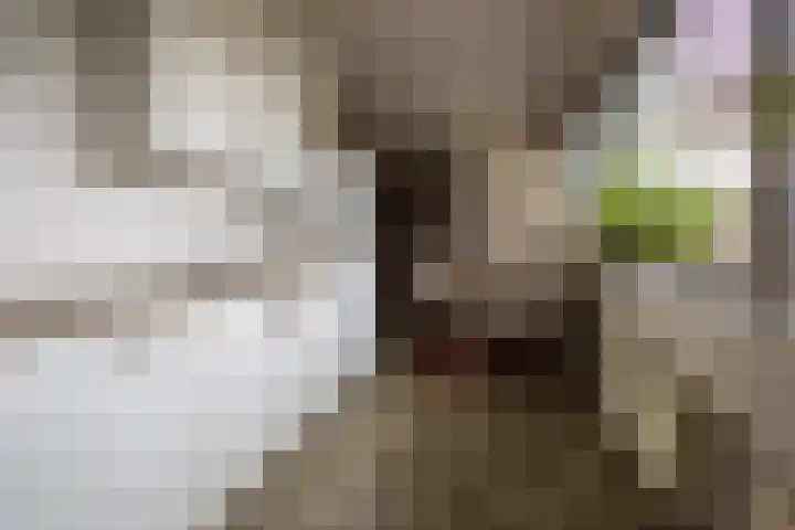 Kleine Vaartlaan 70 Veendam thumbnail 12