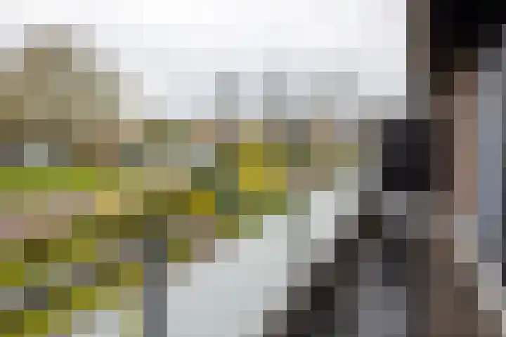 Kleine Vaartlaan 70 Veendam thumbnail 20