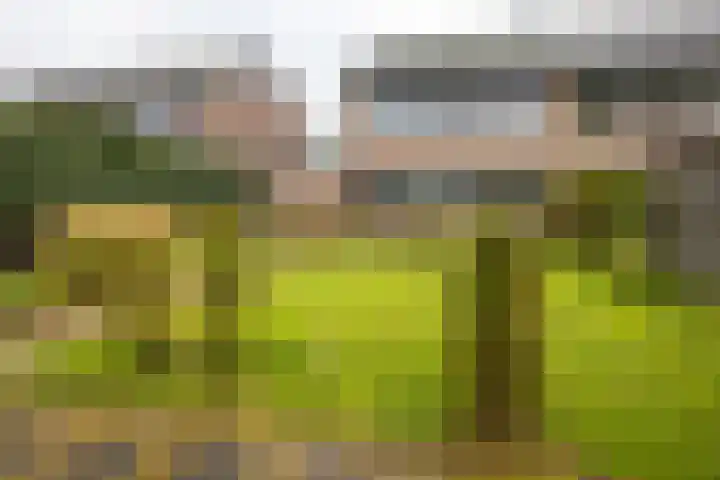 Kleine Vaartlaan 70 Veendam thumbnail 26