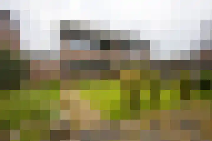 Kleine Vaartlaan 70 Veendam thumbnail 27