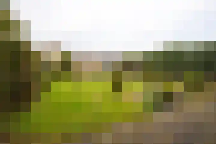 Kleine Vaartlaan 70 Veendam thumbnail 30