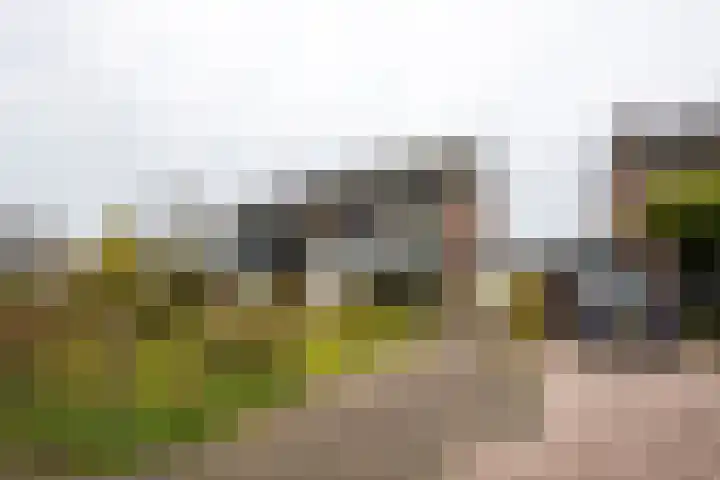 Kleine Vaartlaan 70 Veendam thumbnail 31