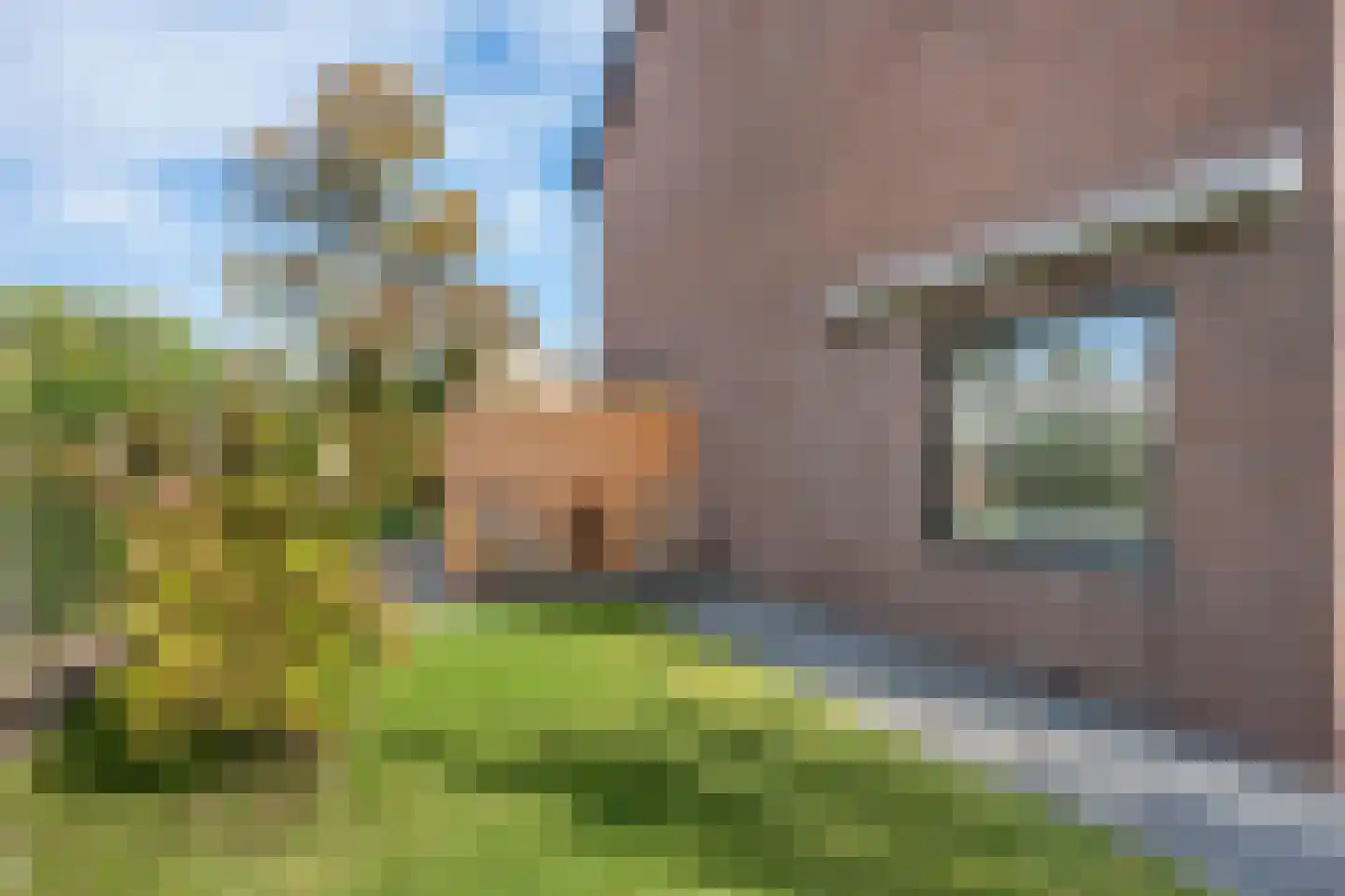 Kleine Vaartlaan 72 Veendam thumbnail 37