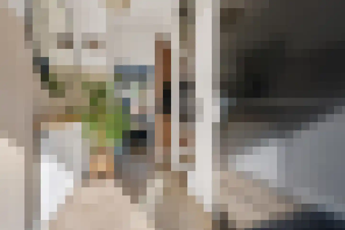 Kleine Vaartlaan 72 Veendam thumbnail 8