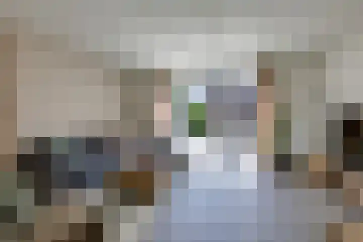 Kleine Veenbes 2 Wehl thumbnail 10