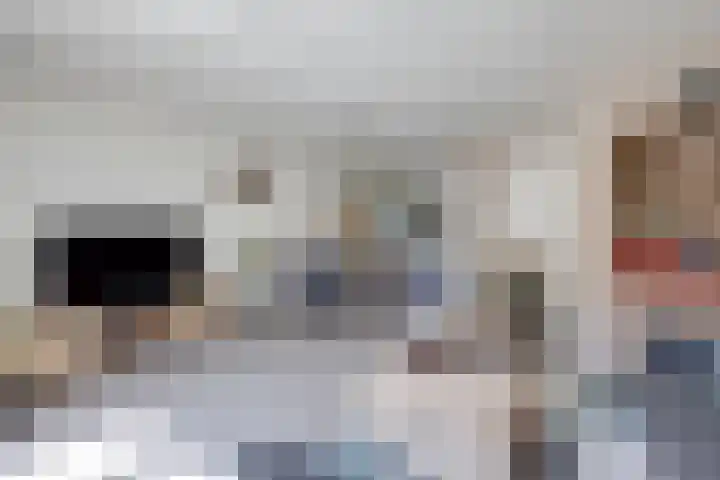 Kleine Veenbes 2 Wehl thumbnail 13