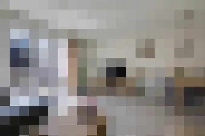 Kleine Veenbes 2 Wehl thumbnail 14